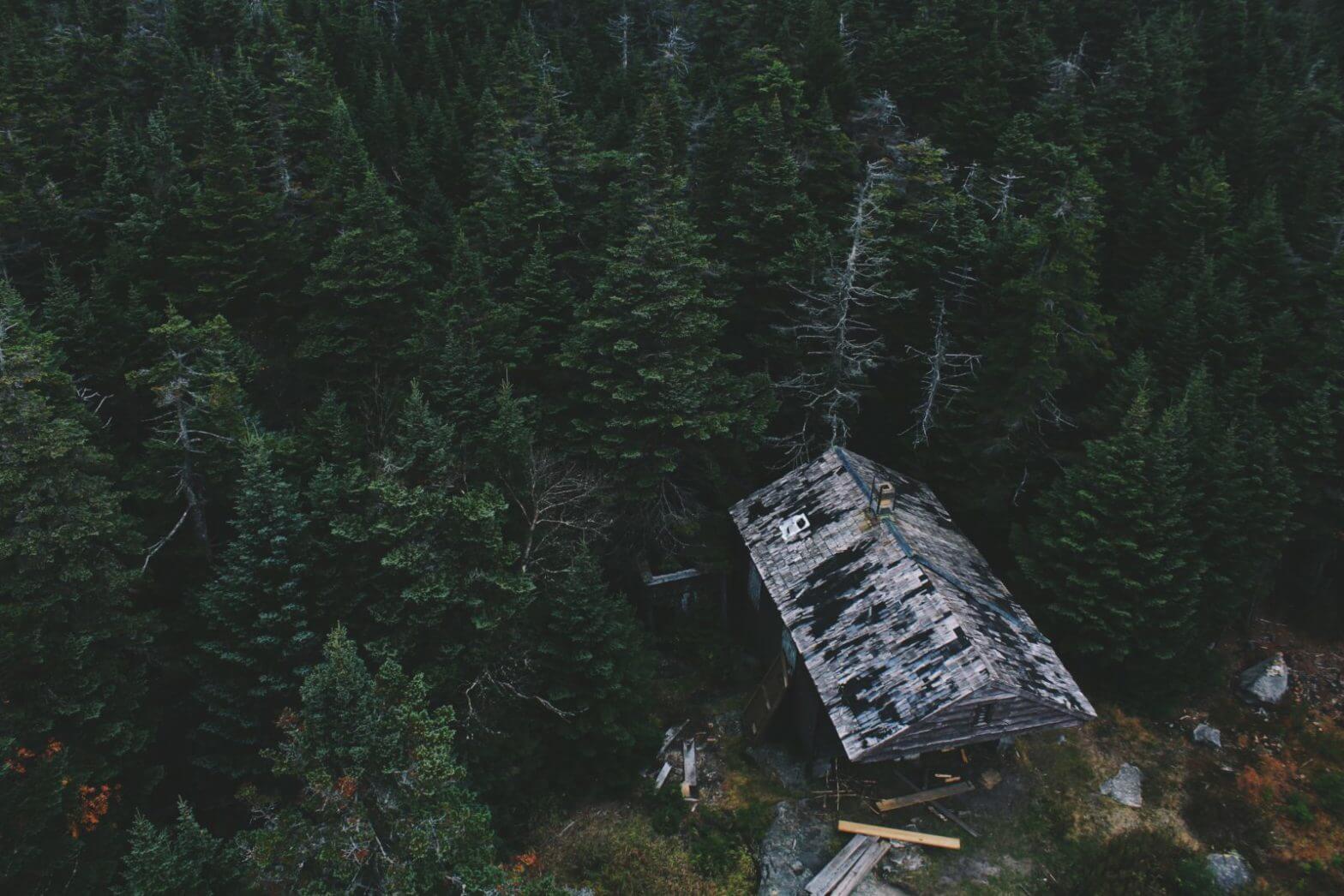 Walden